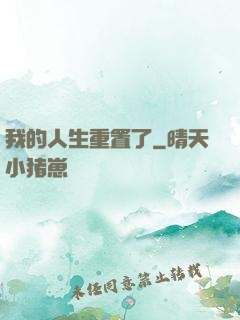 我的人生重置了