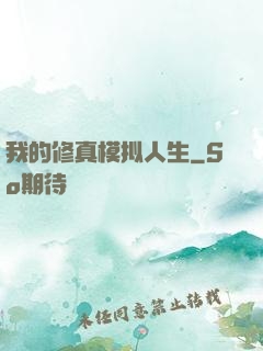 我的修真模拟人生