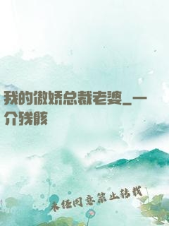我的傲娇总裁老婆