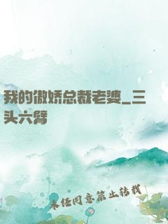 我的傲娇总裁老婆