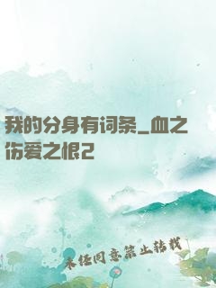 我的分身有词条