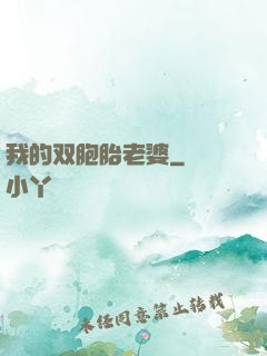 我的双胞胎老婆