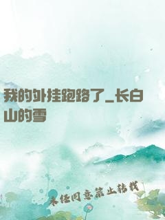 我的外挂跑路了