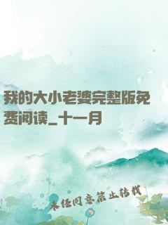我的大小老婆完整版免费阅读