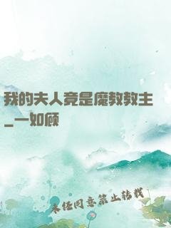 我的夫人竟是魔教教主