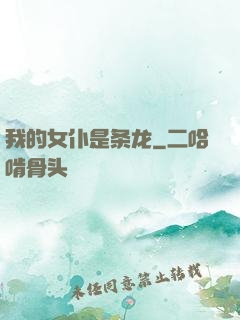 我的女仆是条龙