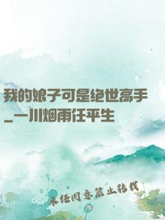 我的娘子可是绝世高手