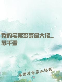 我的宅男哥哥是大佬