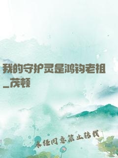 我的守护灵是鸿钧老祖