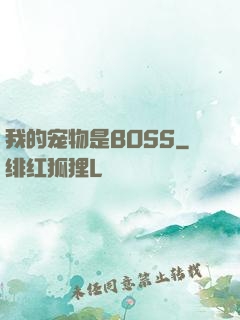 我的宠物是BOSS