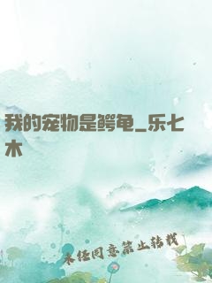 我的宠物是鳄龟