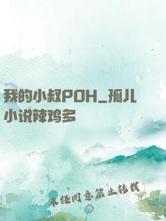 我的小叔POH