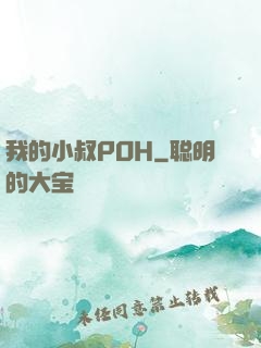 我的小叔POH