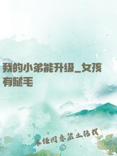 我的小弟能升级
