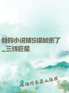 我的小说被S级加密了