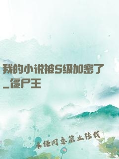 我的小说被S级加密了