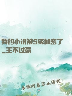 我的小说被S级加密了