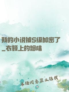 我的小说被S级加密了