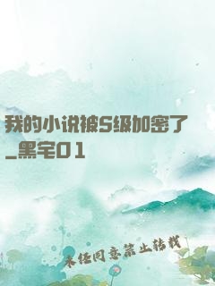 我的小说被S级加密了