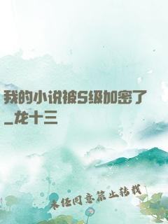 我的小说被S级加密了