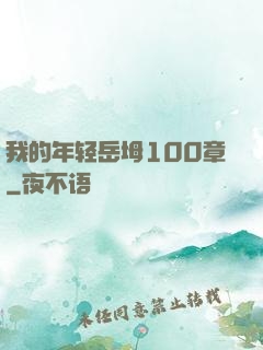 我的年轻岳坶100章