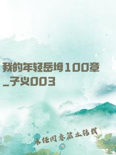 我的年轻岳坶100章