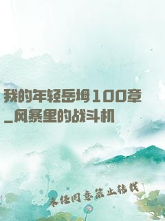 我的年轻岳坶100章