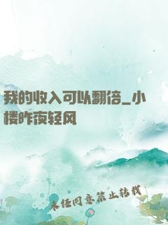 我的收入可以翻倍