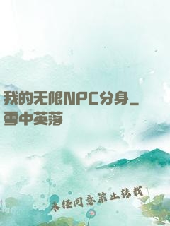 我的无限NPC分身