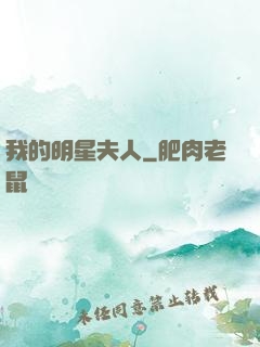 我的明星夫人
