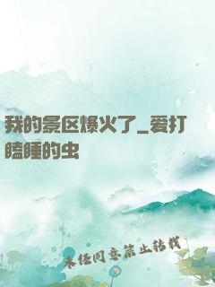 我的景区爆火了