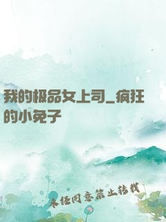 我的极品女上司
