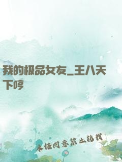 我的极品女友