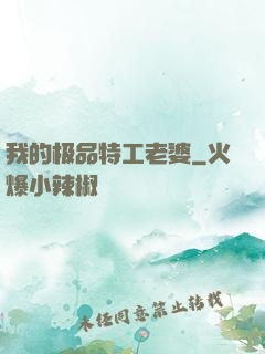 我的极品特工老婆