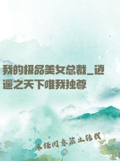 我的极品美女总裁