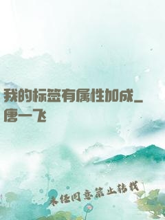 我的标签有属性加成