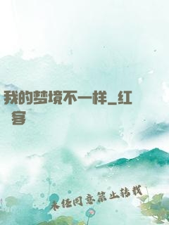 我的梦境不一样