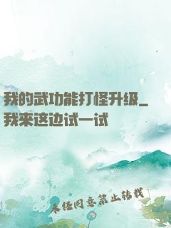 我的武功能打怪升级