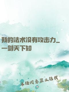 我的法术没有攻击力