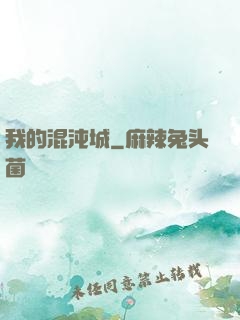 我的混沌城