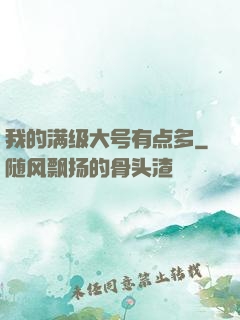 我的满级大号有点多
