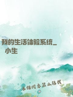 我的生活体验系统