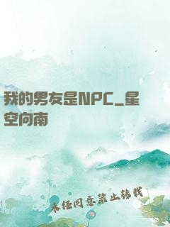 我的男友是NPC