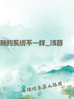我的系统不一样