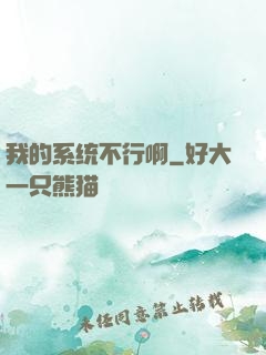 我的系统不行啊