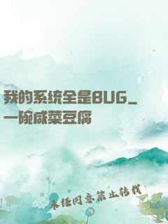 我的系统全是BUG