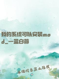 我的系统可以安装mod