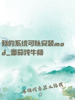 我的系统可以安装mod