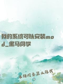 我的系统可以安装mod