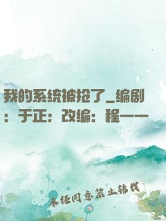 我的系统被抢了